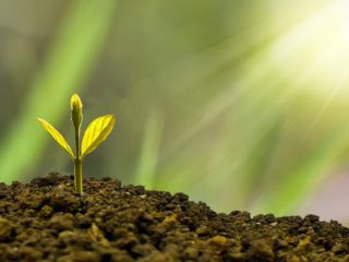 ecovert