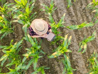 agro tech