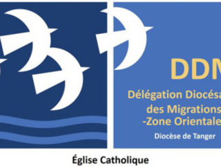 Logo ddm