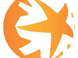 Logo_MCISE