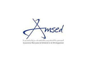 logo amsed