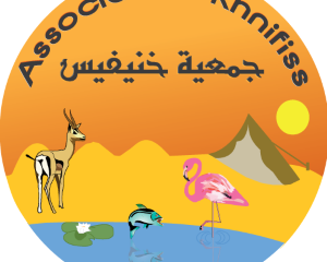 Réseau Association Khnifiss